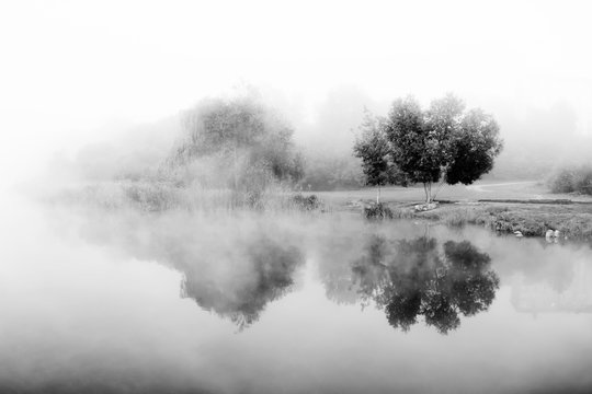 Tree in fog. River bank in morning mist. Black white autumn landscape