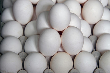 a lot of fresh white chicken eggs on the counter in the store