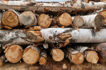 Pile of cut up firewood from birch tree