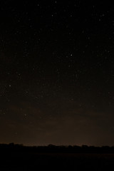 Obraz na płótnie Canvas Forest at the background of the starry sky