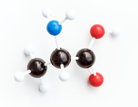 Plastic ball-and-stick model of a L-Alanine or Alanine (Ala) molecule on a white background. Ala is one of the proteinogenic amino acids.