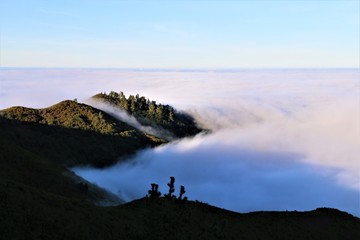 Fog covering the land of Madeira. Fog flowing over the forest creating cloudy cover. 