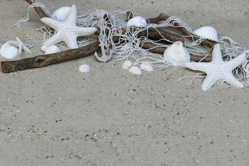 Seesterne mit Muscheln