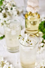 acacia flowers drink. lemonade with a syrup of white acacia flowers. Edible flowers.