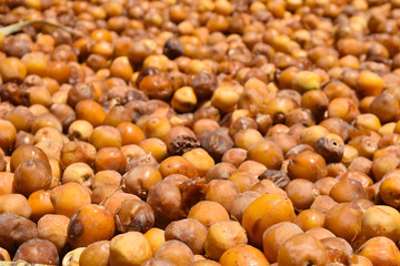 Dates Sweet Fruit Ramadan Kareem Food, nutrition source dry food nature ripen 