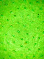 abstract green background texture