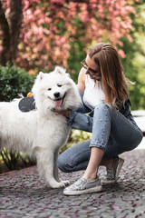 Beautiful girl with a  Cute  beautiful  Samoyed dog in a park  with owner outdoors