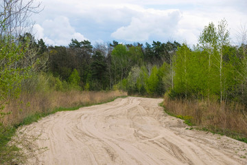 A deserted sandy forest road before the rain in Ukraine. Copy space.