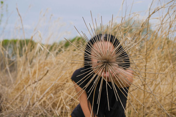 Dry umbrella stem of a Giant hogweed in a woman's hand.  Inflorescence covers the face. Woman in black on gold dry grass background.  