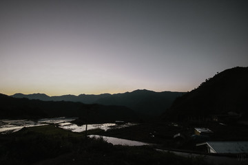 Dawn at the rice fields