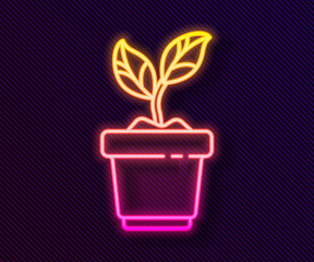 Glowing neon line Plant in pot icon isolated on black background. Plant growing in a pot. Potted plant sign.  Vector Illustration