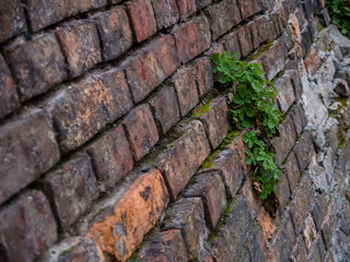 old brick wall. brown brick.