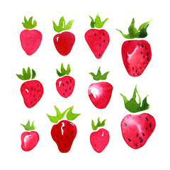 Watercolor red strawberry set. Hand drawn sketch illustration of wild strawberries on white background