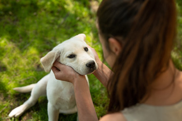Authentic shot of an young woman is caressing her pedigree puppy of Labrador Retriever dog while having fun together outside. Concept: love for animals, friendship, authenticity, happiness,pets