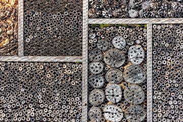 Nahaufnahme einer Nisthilfe für Insekten