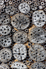 Nahaufnahme einer Nisthilfe für Insekten