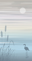 Bird reflected in the water, walks in shallow water among the reeds against the backdrop of the bay.Vector illustration evening sunset sky with clouds and the moon.