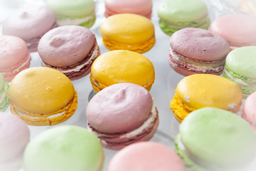 Shop selling culinary sweets. Round cakes. Different colours. Horizontal frame. Photographed in Ukraine, Kharkov region.