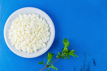 Cottage cheese in a white plate on a blue background. Organic eco healthy meal, dairy product. Plate of cottage cheese and branch with green leaves. Top view. Copy space