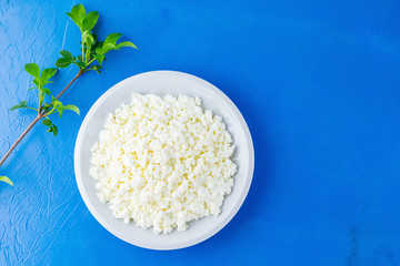 Cottage cheese in a white plate on a blue background. Organic eco healthy meal, dairy product. Plate of cottage cheese and branch with green leaves. Top view. Copy space