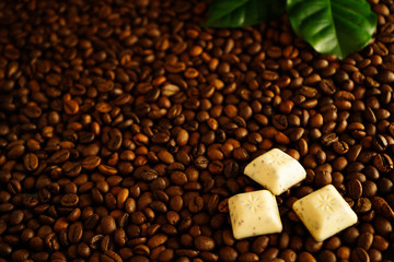 Coffee beans background wiht fresh green coffee leaves, slices of chocolate in the right corner. Space for your text.