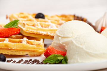 Chocolate Dessert with Ball Ice Cream and Waffles
