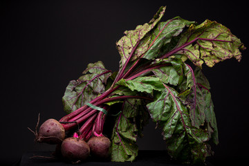 Balancing low key studio still life of rough textured purplish matt red beet still on stems with...