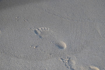 Śład małej stopy na plażowym  piasku - obrazy, fototapety, plakaty