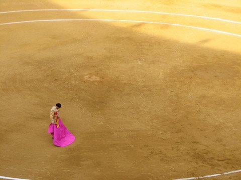 Torreador na arenie podczas corridy