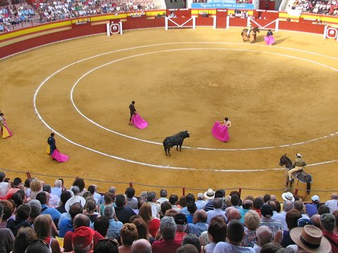 Arena podczas korridy z uczestnikami i bykiem