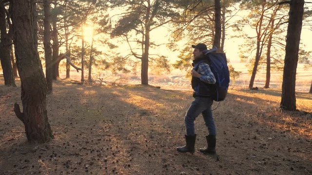 man tourist is walking through the woods with a backpack on a hike. concept travel tourism adventure overcoming difficulties. male hiker walking go through wild forest pine forest lifestyle sunset