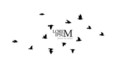 A flock of flying birds silhouette. Vector illustration