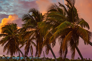 Obraz na płótnie Canvas tropical sunset Anguilla island Caribbean sea