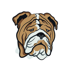 Bulldog Head Illustration. Dog Face Front On View.