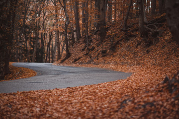 autumn winding road in the mountains, landscape