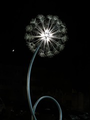 Fragile street lamp made in the form of dandelion illuminates cloudless winter night