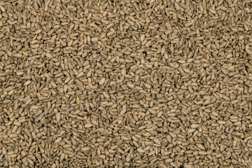 Heap of peeled sunflower seeds as a background