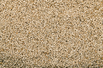 Organic natural sesame seeds texture background