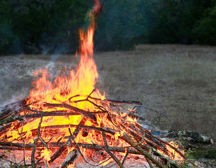 Burning woods. Orange flame over hot coals and ashes. Campfire on the field.