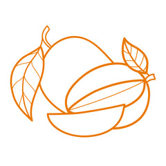 Linear drawing mango isolated on white background. Sketch for coloring booking page. Vector illustration