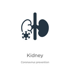 Kidney icon vector. Trendy flat kidney icon from Coronavirus Prevention collection isolated on white background. Vector illustration can be used for web and mobile graphic design, logo, eps10