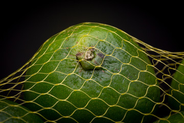 Closeup macro shot of yellow netting gauze bag over fresh vibrant green lime fruit contrasted against a dark grey background. Studio low key product still life.