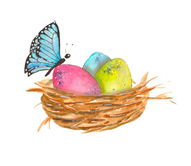 Watercolor illustration. Nest with bird eggs and a blue butterfly on a white background.