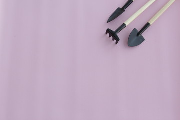 Tools for gardening at home. Growing food on windowsill. Copyspace for text. Top view. Flatlay on pink background.