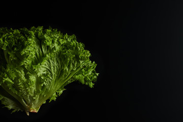 Hands holding lettuce salad Isolated on a black background, top view. Close-up