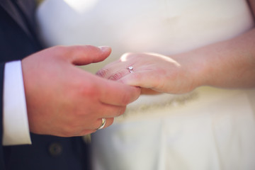 Fototapeta premium The hands of lovers holding each other with rings on their hands