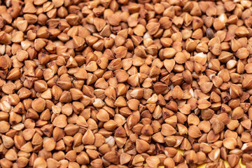 buckwheat, cereals, bulk products, agro culture, grown in the fields. Food for cooking, served in cafes and restaurants, prepared at home. buckwheat with cutlet is delicious.