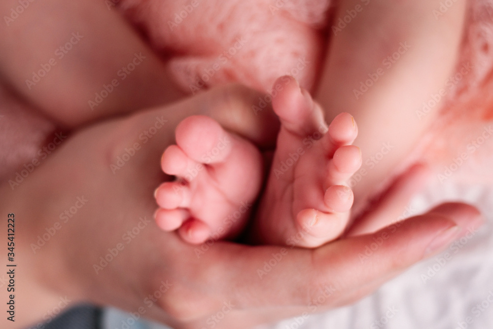 Wall mural newborn baby feet