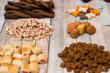 Dog tasty colored biscuits, snacks for dogs 