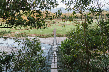 Malaysia, 3 May 2020 - Hanging bridge with paddy field in background at Tegudon Tourism Village located at Kota Belud, Sabah